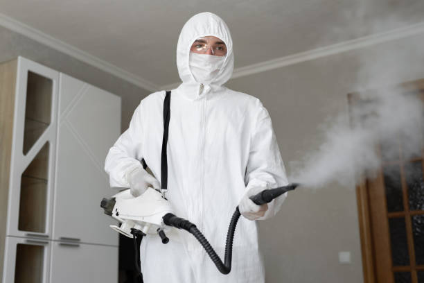 Best Mold Prevention Services  in South Duxbury, MA